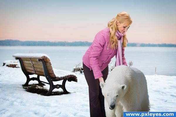 Pet Polar Bear